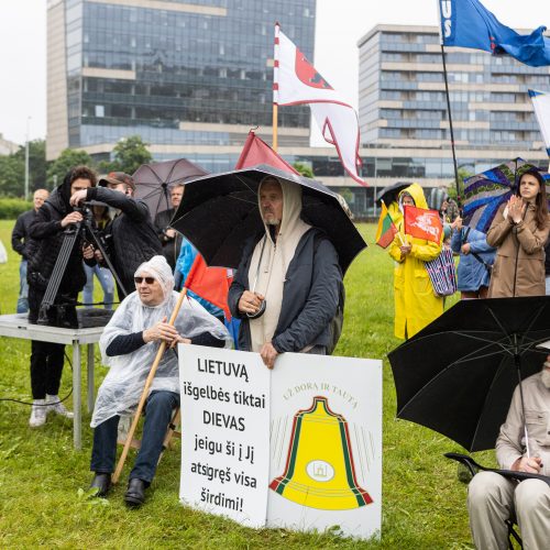 Šeimų sąjūdžio protestas prie Seimo  © L. Balandžio / BNS nuotr.