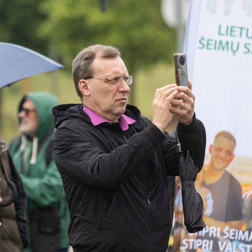 Šeimų sąjūdžio protestas prie Seimo  © L. Balandžio / BNS nuotr.