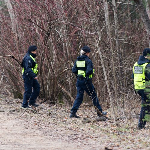 Galimai pagrobtos mergaitės paieška Vilniuje  © Butauto Barausko, I. Gelūno / Fotobanko nuotr.