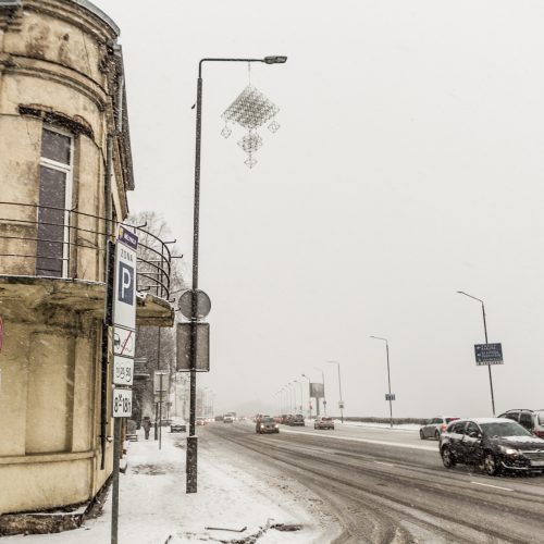 „Kauno akcentas“ Senamiestyje – „Sodų alėja“  © Laimio Steponavičiaus nuotr.