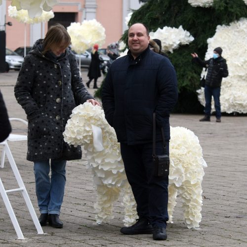 Kauno eglutė laukia įžiebimo šventės  © Laimučio Brundzos nuotr.