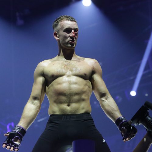 Žiūrovų kraują kaitino „Blade fights“ turnyras 