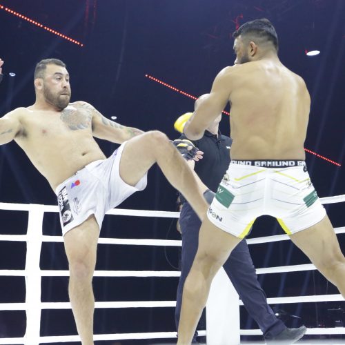 Žiūrovų kraują kaitino „Blade fights“ turnyras   © Vytauto Liaudanskio,  E. Paulausko nuotr.