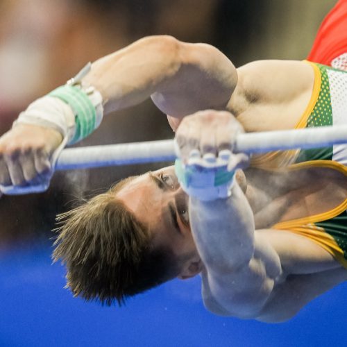 Gimnastas R.Tvorogalas Europos žaidynėse iškovojo auksą  © K. Štreimikio/LTOK nuotr.