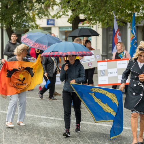 Piketas dėl dalies rajono prijungimo prie miesto  © Laimio Steponavičiaus nuotr.