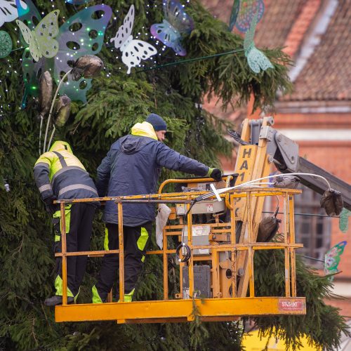 Intensyvus veiksmas Rotušės aikštėje: iki eglės įžiebimo lieka vos kelios dienos  © Kauno miesto savivaldybės nuotr.