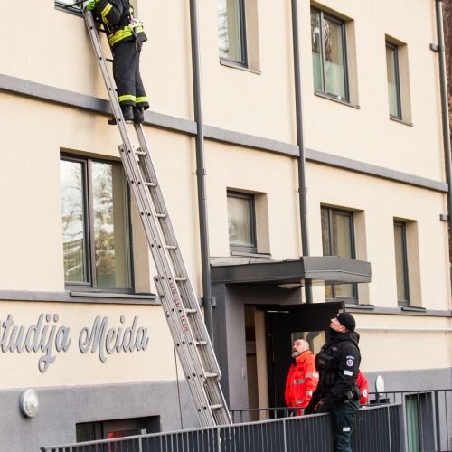 Asilo sulaikymas Žemaičių gatvėje  © Laimio Steponavičiaus nuotr.