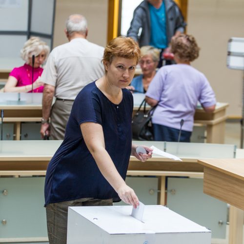 Išankstinis balsavimas prezidento ir EP rinkimuose  © Laimio Steponavičiaus nuotr.