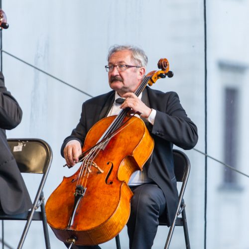 XXIV Pažaislio muzikos festivalio atidarymo koncertas   © Laimio Steponavičiaus nuotr.