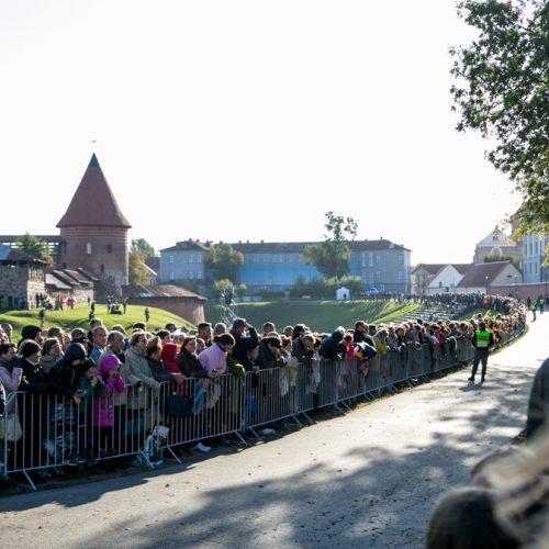 Popiežius Pranciškus meldėsi Santakos parke  © Vilmanto Raupelio nuotr.