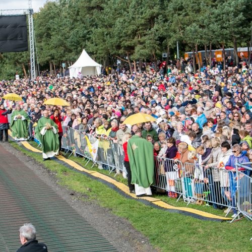 Popiežius Pranciškus meldėsi Santakos parke  © Vilmanto Raupelio nuotr.