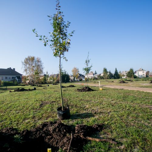 Šventė Garliavos Šimtmečio parke  © Vilmanto Raupelio nuotr.