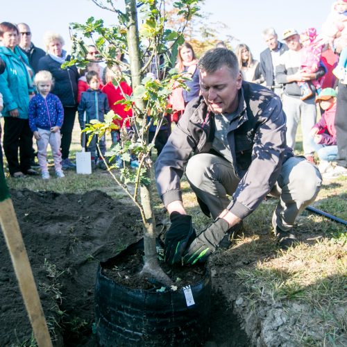 Šventė Garliavos Šimtmečio parke  © Vilmanto Raupelio nuotr.