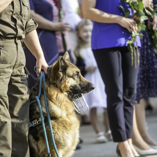 Mokslo metų pradžios šventė Senamiesčio progimnazijoje  © Vilmanto Raupelio nuotr.