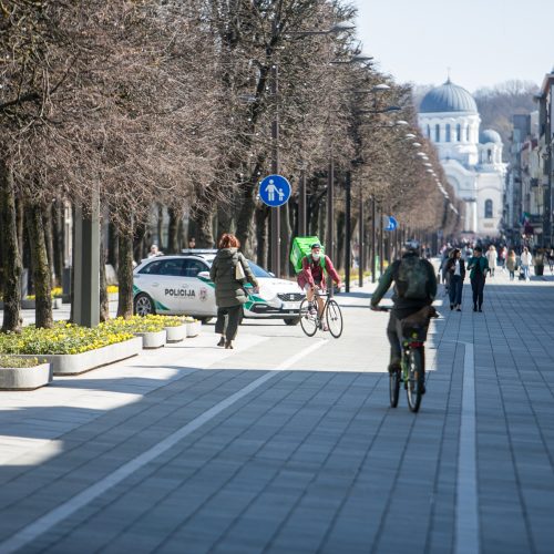 Architektai susirinko palaikyti teisiamą A. Karalių  © Vilmanto Raupelio nuotr.