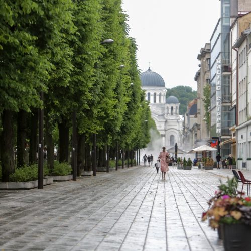 Joninių dieną – liūtis Kaune  © Vilmanto Raupelio nuotr.