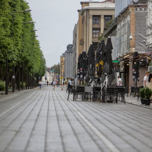 Joninių dieną – liūtis Kaune  © Vilmanto Raupelio nuotr.