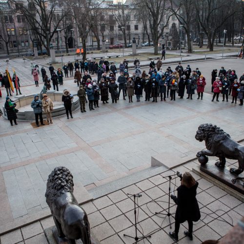 Aukurai laisvės gynėjams  © Vilmanto Raupelio nuotr.