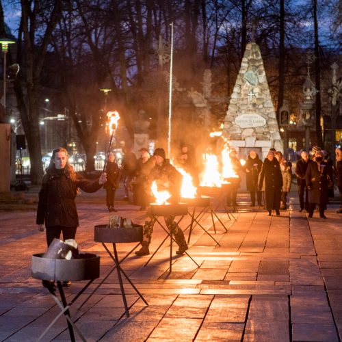 Aukurai laisvės gynėjams  © Vilmanto Raupelio nuotr.