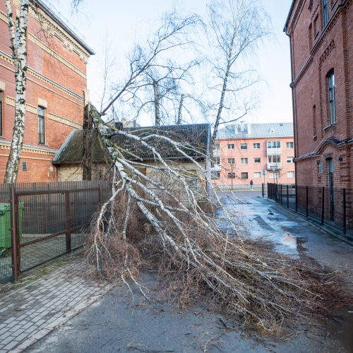 Stiprus vėjas Kaune apgadino namų stogus  © Justinos Lasauskaitės, Vilmanto Raupelio nuotr.