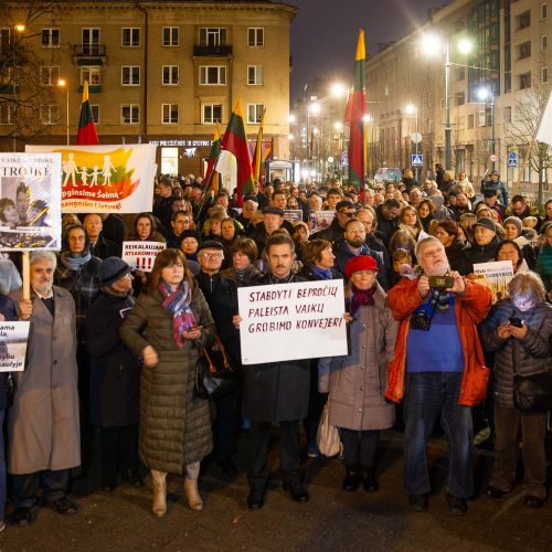 Mitingas prie Seimo dėl vaikų paėmimo iš šeimų  © M. Morkevičiaus / ELTOS, I. Gelūno / BFL nuotr.