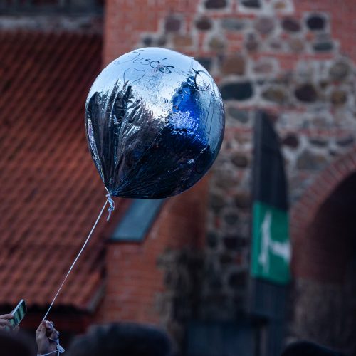 J. Jaručio koncertas Trakuose  © G. Skaraitienės / Fotobanko nuotr.