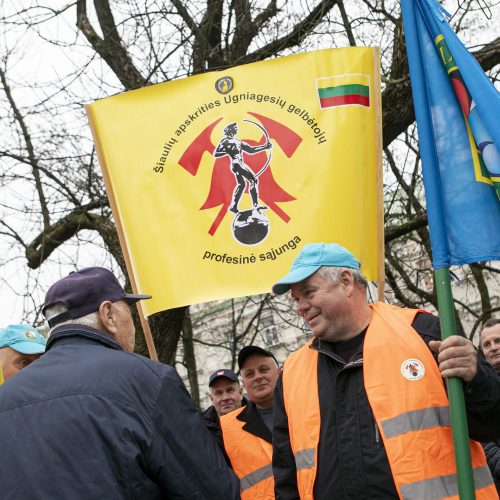 Ugniagesių mitingas V. Kudirkos aikštėje  © P. Peleckio / Fotobanko nuotr.