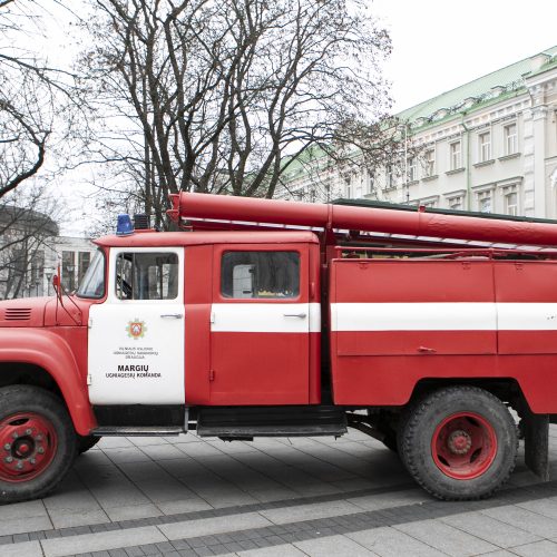 Ugniagesių mitingas V. Kudirkos aikštėje  © P. Peleckio / Fotobanko nuotr.