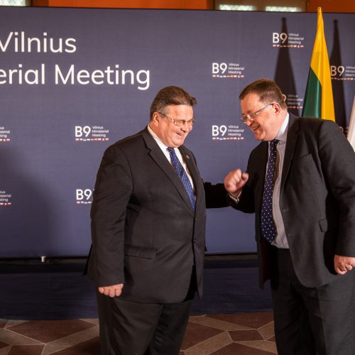 „Bukarešto devintuko“ užsienio reikalų ministrų susitikimas  © I. Gelūno / Fotobanko nuotr.