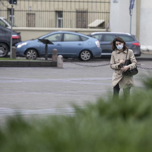 Prezidentas susitiko su M. Navickiene  © P. Peleckio / Fotobanko, R. Dačkaus / Prezidentūros nuotr.