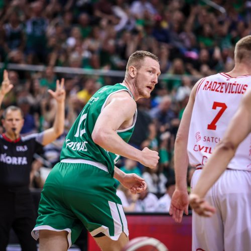 LKL finalo rungtynės: Kauno „Žalgiris“ – Vilniaus „Rytas“  © E. Ovčarenko / BNS nuotr.