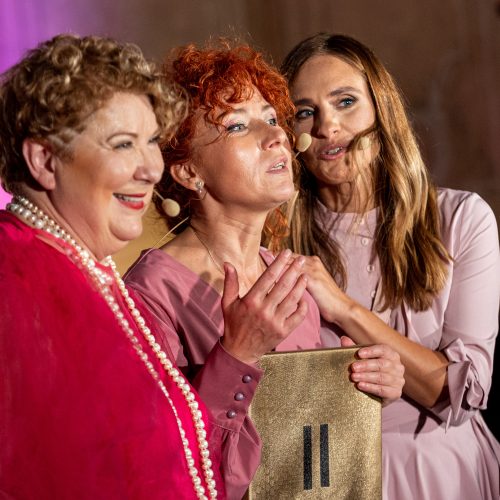 Interaktyvi komedija „Meno pauzė“  © P. Peleckio / BNS nuotr.