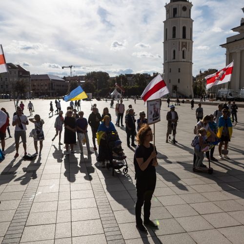 16-asis Pirmadienio mitingas už Ukrainą  © P. Peleckio / BNS nuotr.