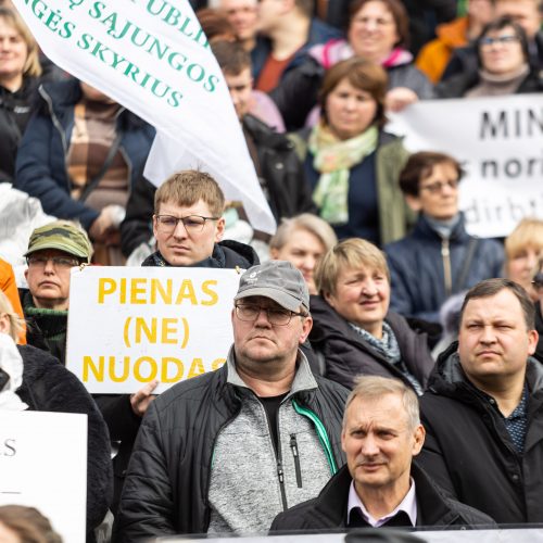 Lietuvos pieno gamintojų mitingas prie Seimo  © Ž. Gedvilos / BNS nuotr.