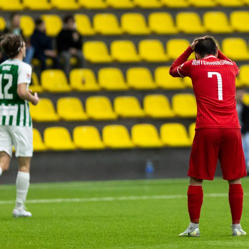 A lyga: Vilniaus „Žalgiris“ – Marijampolės „Sūduva“  © Ž. Gedvilos / BNS nuotr.