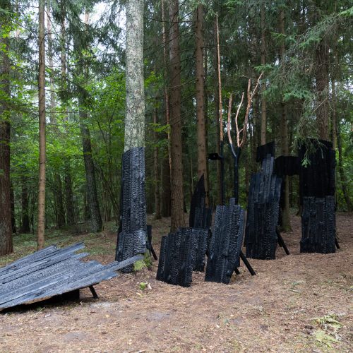 J. Vaitkutės ir A. Mamontovo instaliacijos „Anglies miškas“ pristatymas  © G. Skaraitienės / BNS nuotr.