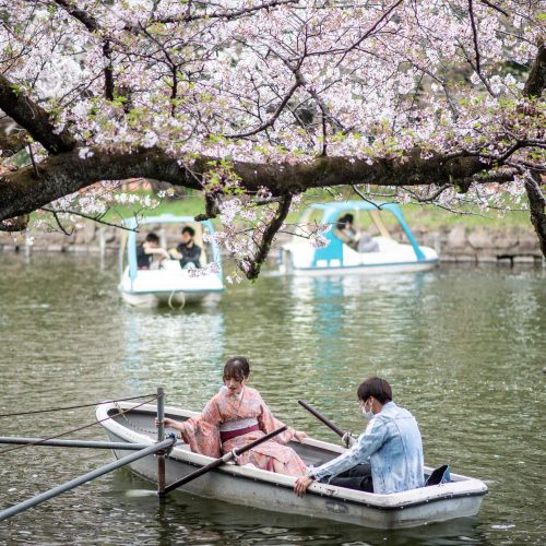 Japonijoje žydi sakuros  © Scanpix nuotr.