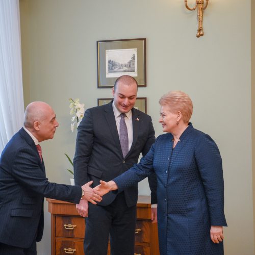 Lietuvos vadovai susitiko su Sakartvelo premjeru  © I. Gelūno, D. Labučio, M. Morkevičiaus, R. Dačkaus nuotr.