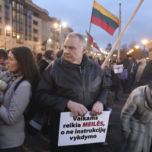 Mitingas prie Seimo dėl vaikų paėmimo iš šeimų  © M. Morkevičiaus / ELTOS, I. Gelūno / BFL nuotr.