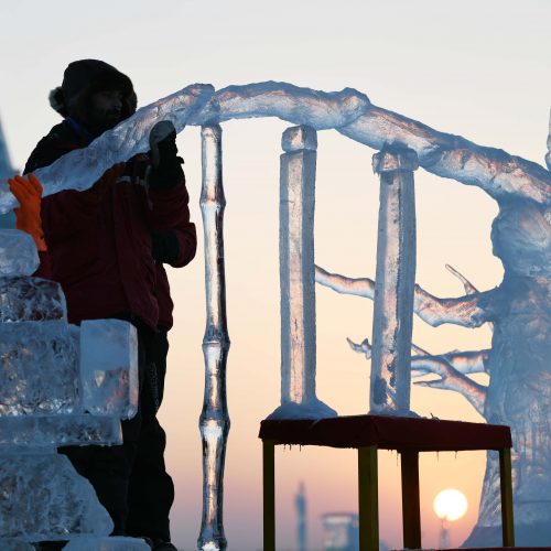 Tradicinis ledo ir sniego skulptūrų festivalis Kinijoje  © Scanpix nuotr.