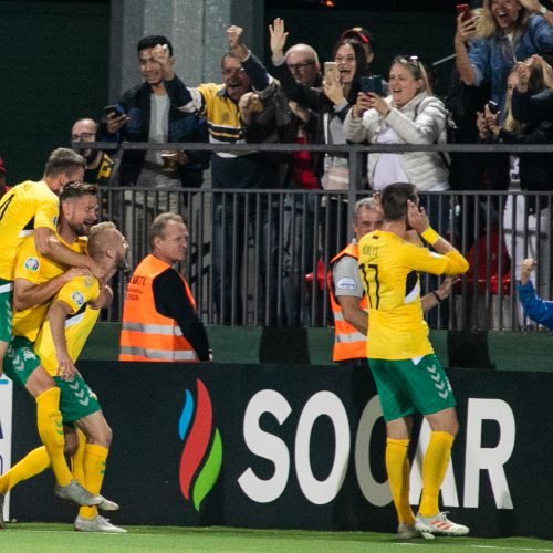 Futbolas: Lietuva – Portugalija 1:5  © B. Barausko ir I. Gelūno/Fotobanko nuotr.