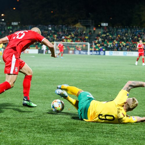 Europos futbolo čempionato atranka: Lietuva – Serbija  © I. Gelūno/Fotobanko nuotr.