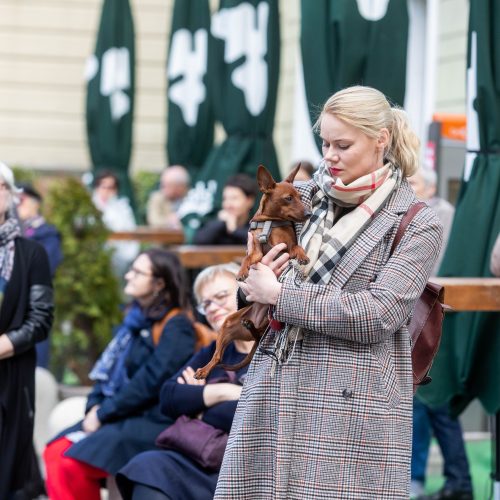 Smuikininko S. Krylovo muzikinė akcija  © I. Gelūno/Fotobanko nuotr.