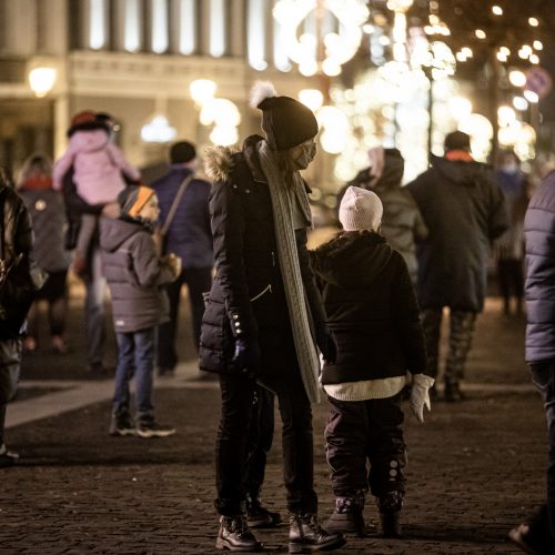 Sostinės Rotušės aikštėje įžiebta Kalėdų eglė  © G. Skaraitienės/Fotobanko nuotr.