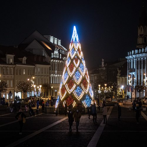 Sostinės Rotušės aikštėje įžiebta Kalėdų eglė  © G. Skaraitienės/Fotobanko nuotr.