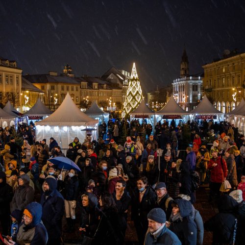 Vilniaus rotušėje įžiebta kalėdinė eglutė  © I. Gelūno/ 