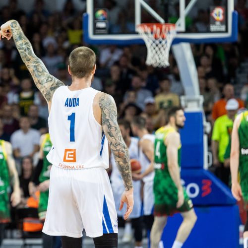 Pasaulio krepšinio čempionato atranka: Lietuva – Čekija 72:83  © P. Peleckio/BNS nuotr.