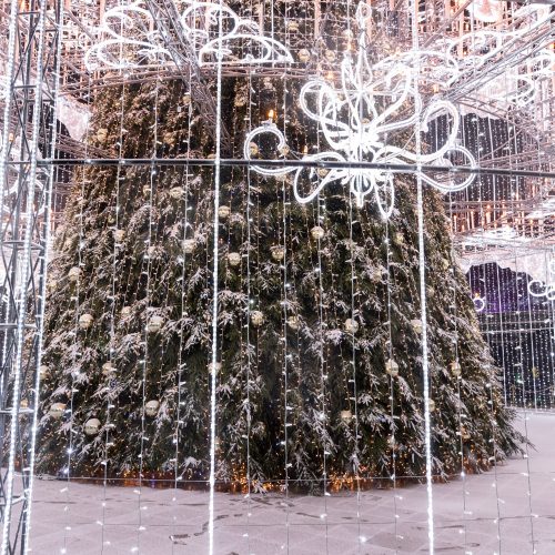 Sostinės Katedros aikštėje įžiebta Kalėdų eglė  © P. Peleckio/BNS ir S.Žiūros nuotr.