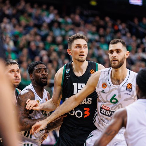 Eurolyga: Kauno „Žalgiris“ – Atėnų „Panathinaikos“ 67:81  © E. Ovčarenko / BNS nuotr.