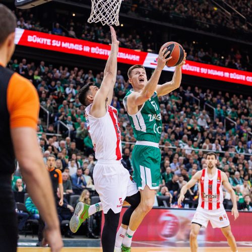 Eurolyga: Kauno „Žalgiris“ – Pirėjo „Olympiacos“ 72:74  © E. Ovčarenko / BNS nuotr.